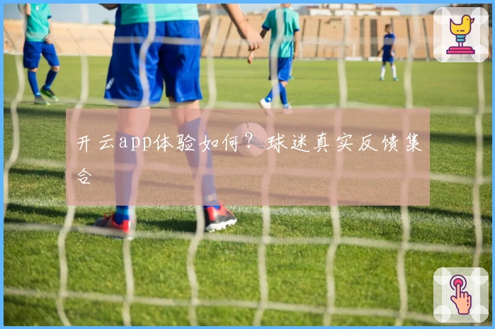 开云app体验如何？球迷真实反馈集合