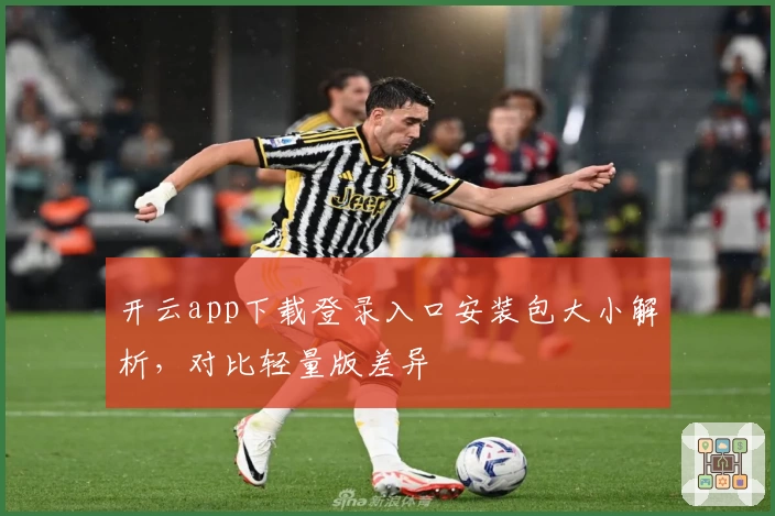 开云app下载登录入口安装包大小解析,对比轻量版差异