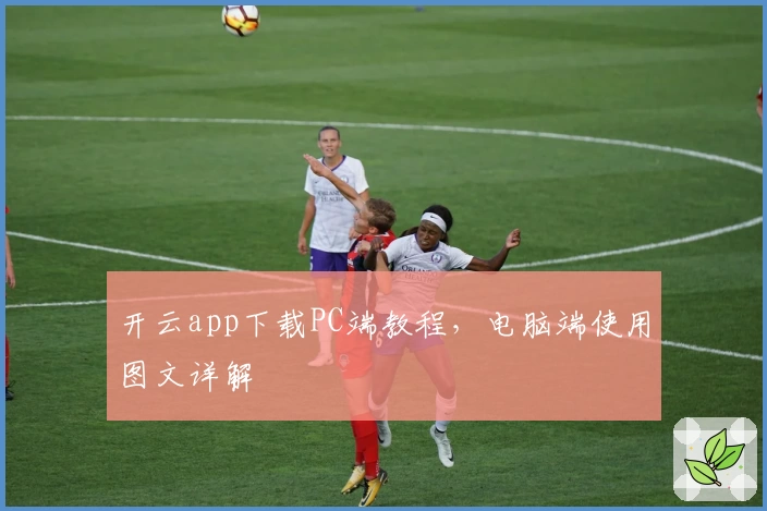 开云app下载PC端教程，电脑端使用图文详解