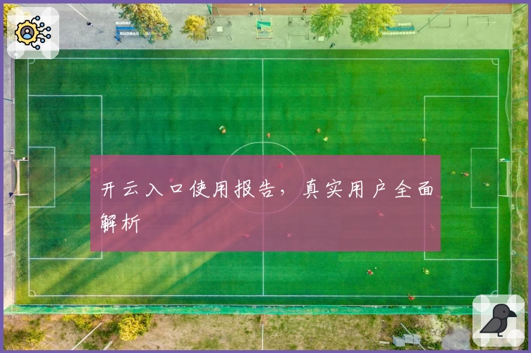 开云入口使用报告，真实用户全面解析