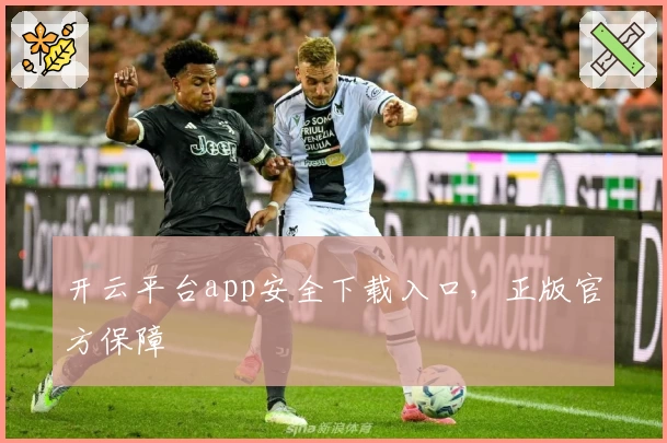 开云平台app安全下载入口，正版官方保障