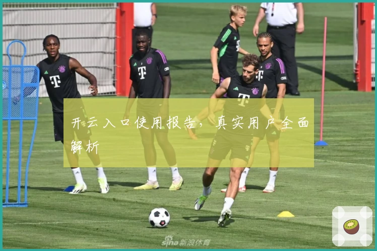 开云入口使用报告，真实用户全面解析